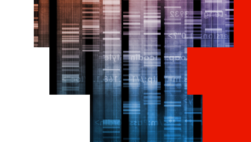 Genetic data image with red blocks