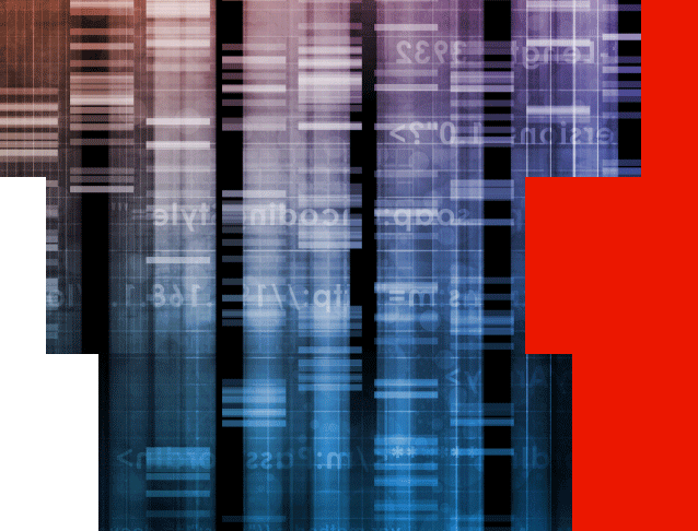 Genetic data image with red blocks