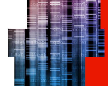 Genetic data image with red blocks