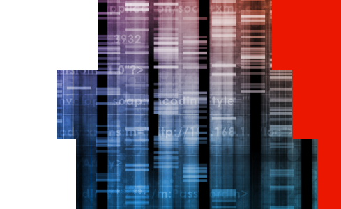 Genetic data image with red blocks